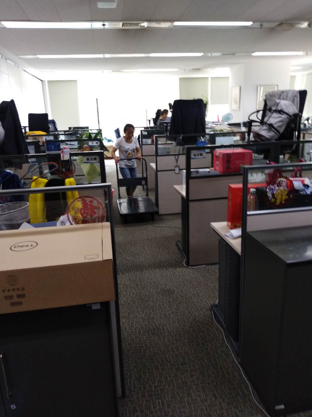 清洗地毯88.jpg 清洗地毯88.jpg